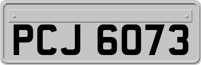 PCJ6073