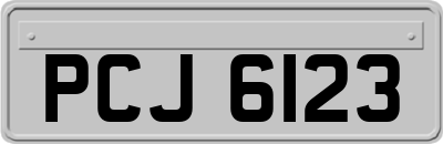 PCJ6123