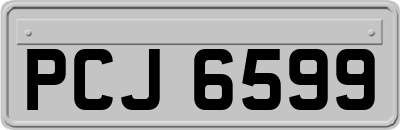 PCJ6599