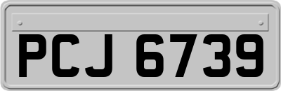 PCJ6739