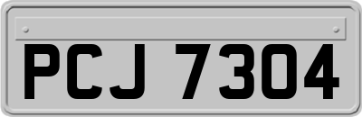 PCJ7304