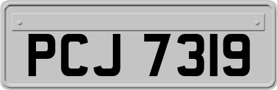 PCJ7319