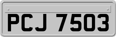 PCJ7503