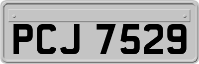 PCJ7529