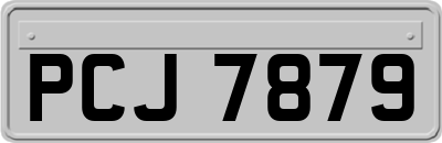 PCJ7879