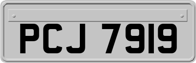 PCJ7919