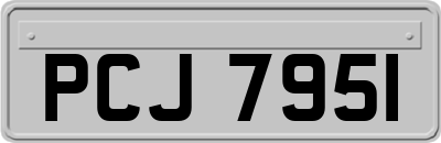 PCJ7951