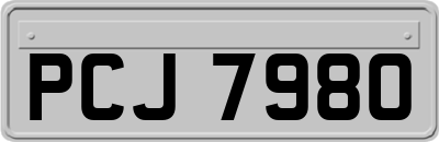 PCJ7980