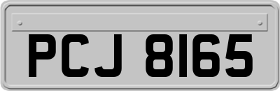 PCJ8165