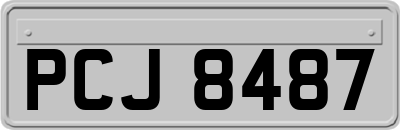 PCJ8487