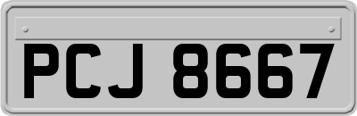 PCJ8667
