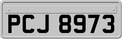 PCJ8973