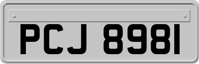 PCJ8981