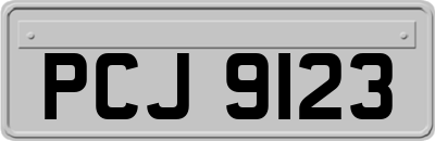 PCJ9123
