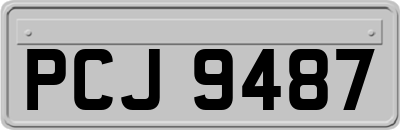 PCJ9487