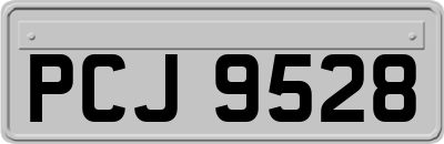 PCJ9528