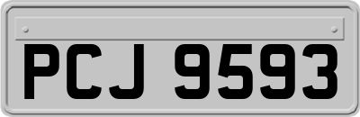 PCJ9593
