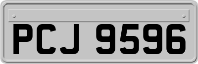 PCJ9596