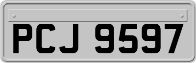PCJ9597