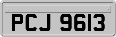 PCJ9613