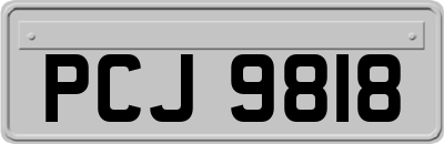 PCJ9818