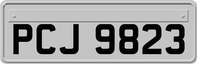 PCJ9823