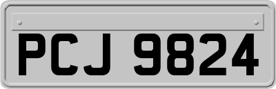 PCJ9824