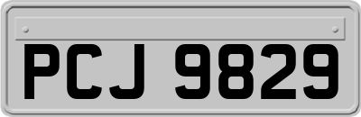 PCJ9829