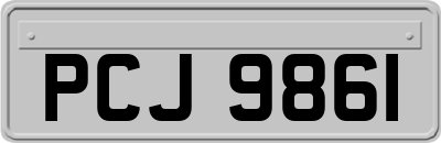 PCJ9861