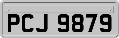 PCJ9879