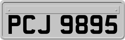 PCJ9895