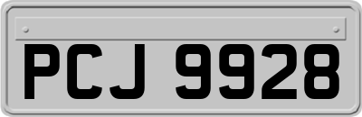 PCJ9928