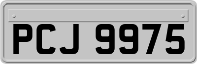 PCJ9975