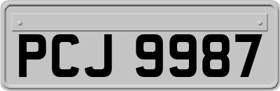 PCJ9987