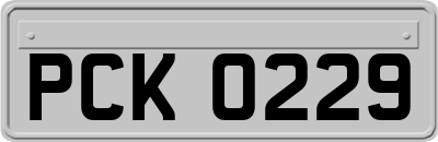 PCK0229
