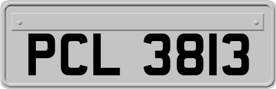 PCL3813