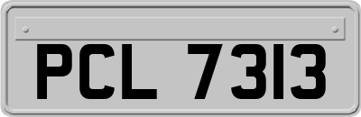 PCL7313