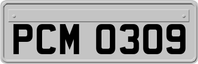 PCM0309