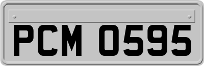 PCM0595