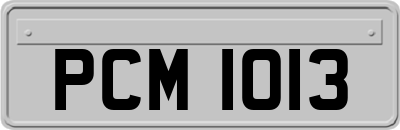 PCM1013
