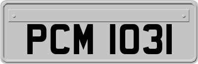 PCM1031