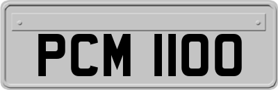 PCM1100