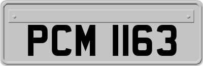 PCM1163
