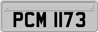 PCM1173
