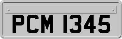 PCM1345