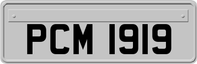 PCM1919