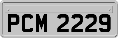 PCM2229