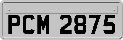 PCM2875