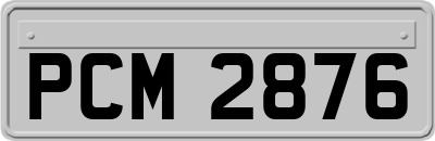 PCM2876