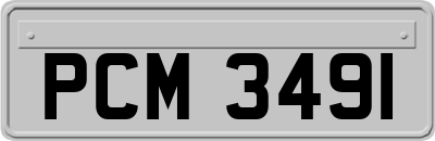 PCM3491